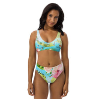 Barrier Island Hopper Women's Recycled high-waisted bikini