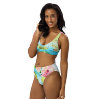 Barrier Island Hopper Women's Recycled high-waisted bikini