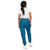 Naples Blue Unisex track pants