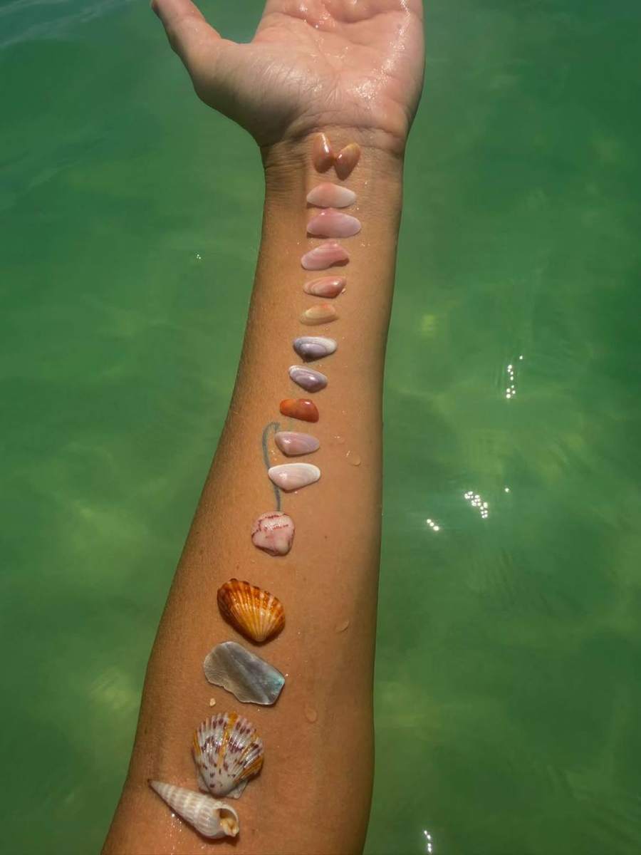 Colorful shells lined up along an arm over clear green water